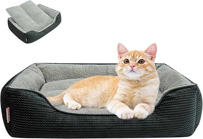 Miguel Washable Cat Beds for Indoor Cats with Removable Cushion/Pillow, Easy to Wash Small Dog Bed with Side, Large Rectangle Kitten Bed Cuddle Puppy Bed with Anti-Slip Bottom, Dark Gray 20 Inch