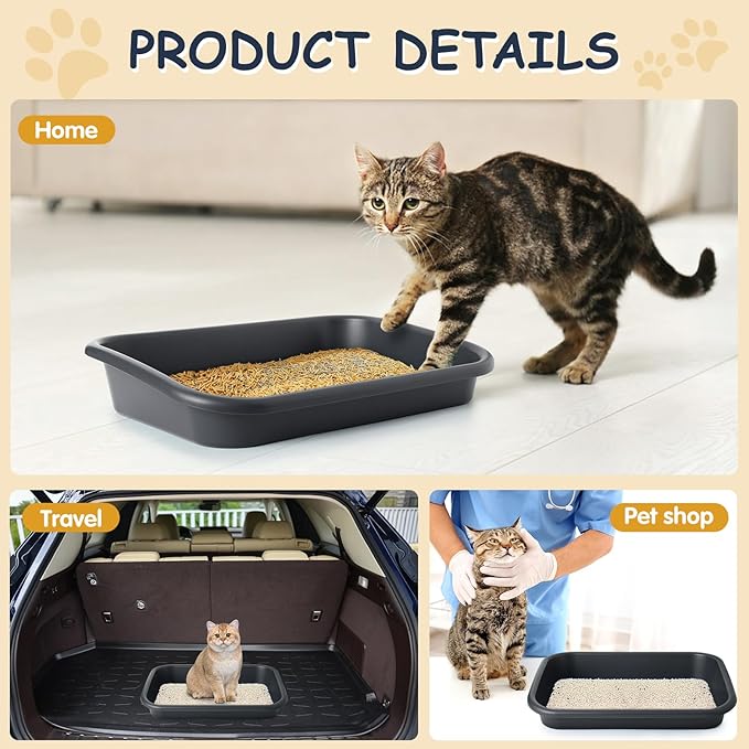 3 Pcs Large Cat Litter Box, Low Entry Senior Cat Litter Box Open Top Pet Litter Boxes Tray for Big Older Cats Kitten Sick Frail or Disabled Cat, 23.2" L x 16.5" W (Dark Gray)