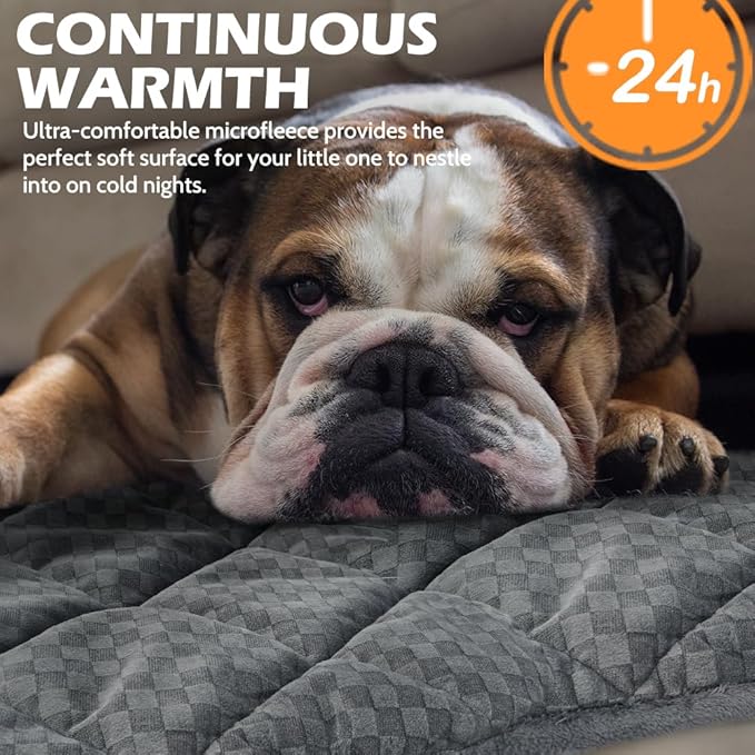 ARGOPET Cat Bed (30x19in) Self Warming, Polyester, Checkered Grey, 16oz, Machine Washable, Anti-Slip, Pet Bed Mat for Indoor & Outdoor Pets