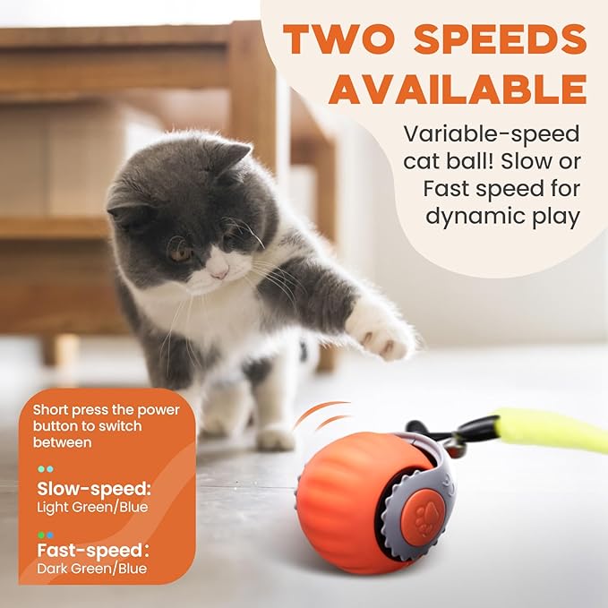 Interactive Cat Toy for Indoor Cats, Two Speed Smart Automatic Cat Toy Moving Ball with Tail, Rechargeable Motion Activated Cat Toys for Bored Indoor Adult Cats (Adapter Not Included)