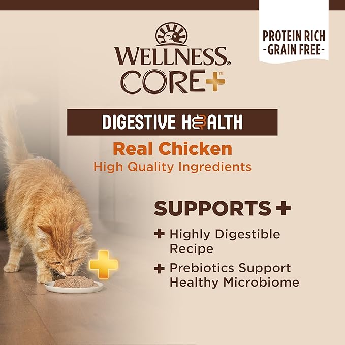 Wellness CORE+ Digestive Health Pate Adult Wet Cat Food, Natural, Protein-Rich, Grain Free, 3 Ounce, 12 Pack (Chicken)