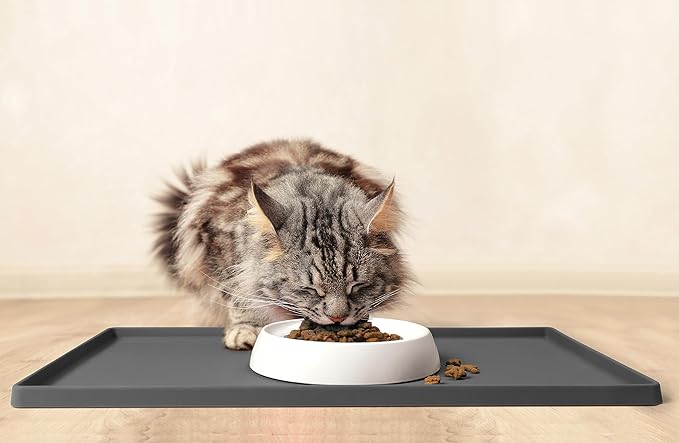 CatGuru Cat Bowls, Whisker Friendly Cat Food Bowl for Indoor Cats, Reliefs Whisker Fatigue, Wide Pet Bowl, Non Slip Pet Feeding Bowls, Shallow Kitten Dish (Ceramic, White)