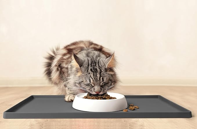 CatGuru Cat Bowls, Whisker Friendly Cat Food Bowl for Indoor Cats, Reliefs Whisker Fatigue, Wide Pet Bowl, Non Slip Pet Feeding Bowls, Shallow Kitten Dish (Marshmallow)