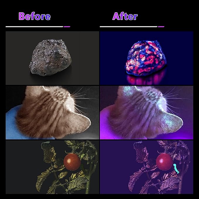 WINDFIRE UV Flashlight 365nm Black Light, Rechargeable Blacklight Flashlights with LCD Display, Powerful Ultraviolet Lights for Pet Urine Detection, Scorpions, Resin Curing, Uranium Glass, AC Leak