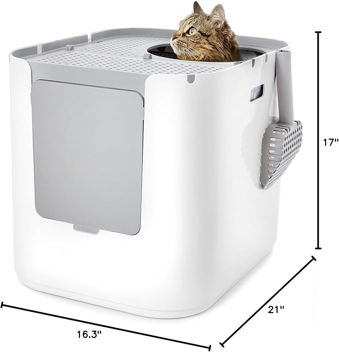 Modkat® XL Litter Box, Top or Front-Entry Configurable, Full Height Seamless Base, Reusable Litter Liners, Sifting Litter Scoop, 2X Bamboo Charcoal Filters - Gray