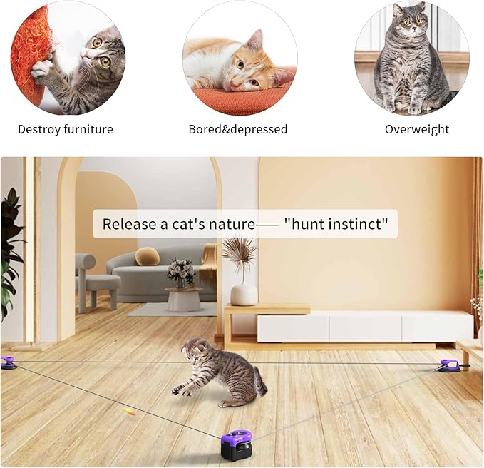 AsFrost Upgraded Interactive Cat Toy for Indoor Cats, Auto/Manual Control DIY Cat Feather Mouse Toy Treadmill for Bored Kitten Puppy Play Chase Run Exercise Hunting-Elegant Purple