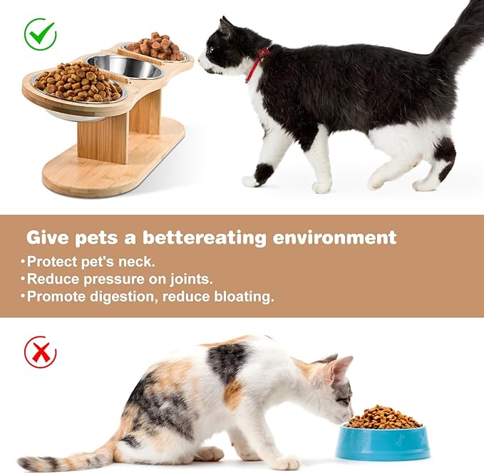 Elevated Cat Bowls - 3 Stainless Steel Cat Bowls with 15° Tilted Bamboo Stand for Indoor Cats, Small Dogs and Puppy