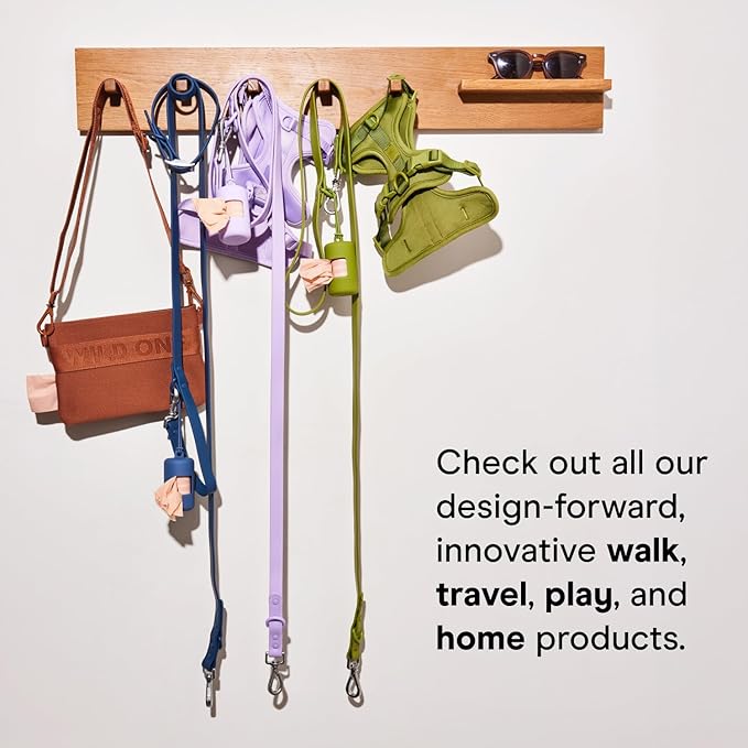 Wild One - Dog & Cat Placemat for Food & Water - Silicone, Non-Slip, Non-Toxic - Great for Travel - Standard (Black)