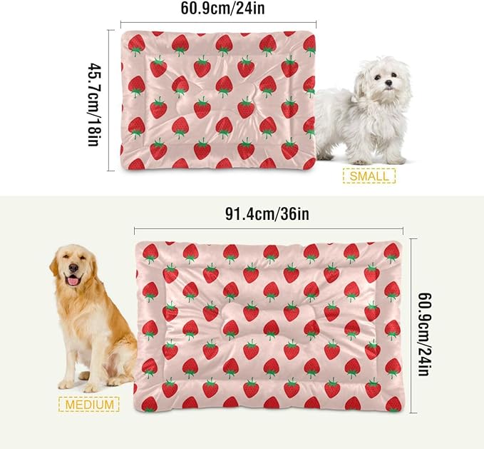 Pet Bed Strawberry Fruit Dog Bed Mat Absorbing Non Slip Pad Pet Sleeping Mat for Small, Medium, and Large Dogs Puppy Cat 24 in x 18 in