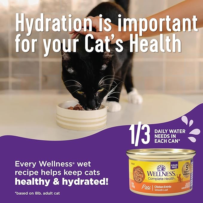 Wellness Complete Health Sliced Adult Wet Cat Food, Natural, Protein-Rich, Grain Free, 5.5 Ounce, 24 Pack, (Salmon Entrée)