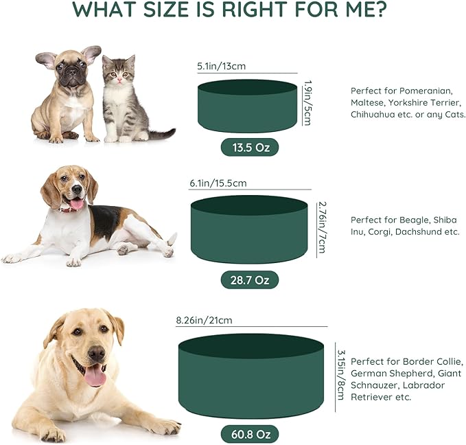 SPUNKYJUNKY 28.7OZ Ceramic Dog and Cat Bowl, Modern Cute Weighted Food Water Bowl for Replacement Green (1 Pack)