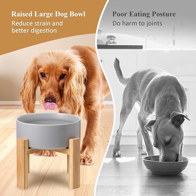 Elevated Ceramic Large Dog Bowl - Raised Dog Dish with Bamboo Stand - Heavy Weighted, No Tip Over, Comfortable Eating - 8.4" Diameter - 4.5 Cups - 68 fl oz - Green