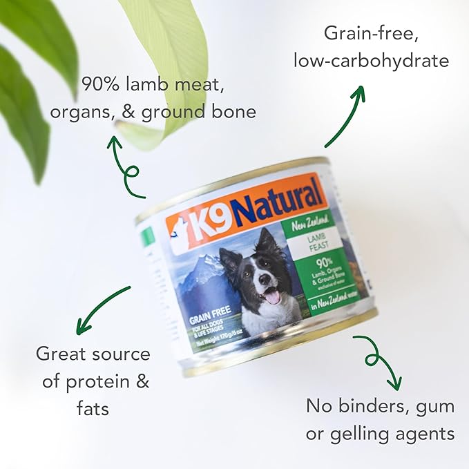 K9 Natural Wet Dog Food Pate, Lamb Feast, 6 Oz Cans (Pack of 12), Grain Free, Made in New Zealand with Grass-Fed, Free-Range Lamb, Single Source, Limited Ingredient