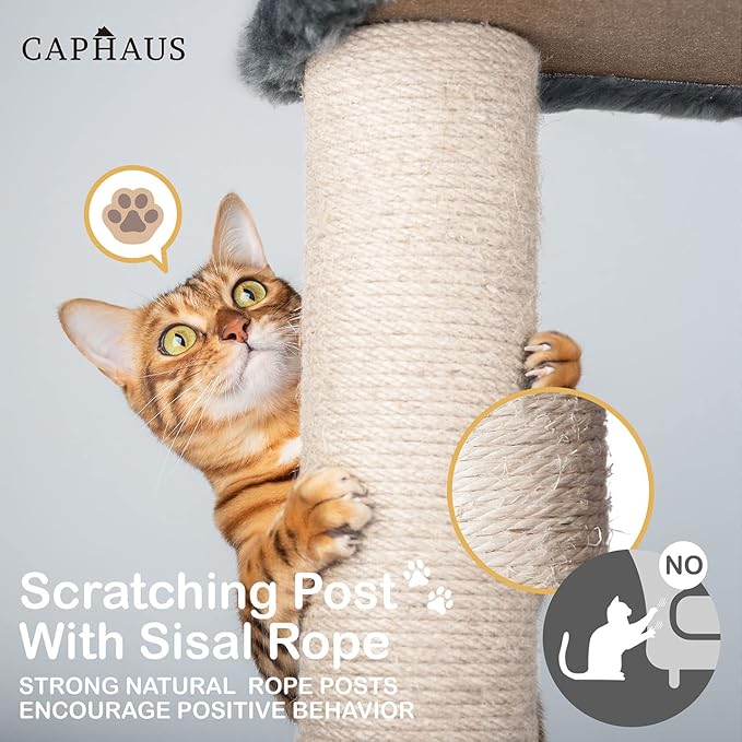 CAPHAUS Cat Tower for Indoor Cats, Modern Cute 40-Inch Small Cat Tree with Widened Perch for Large Cats Kittens, Multi-Level Cat Activity Tree with Scratching Posts, Tunnel, Basket, Cat Cave Condo