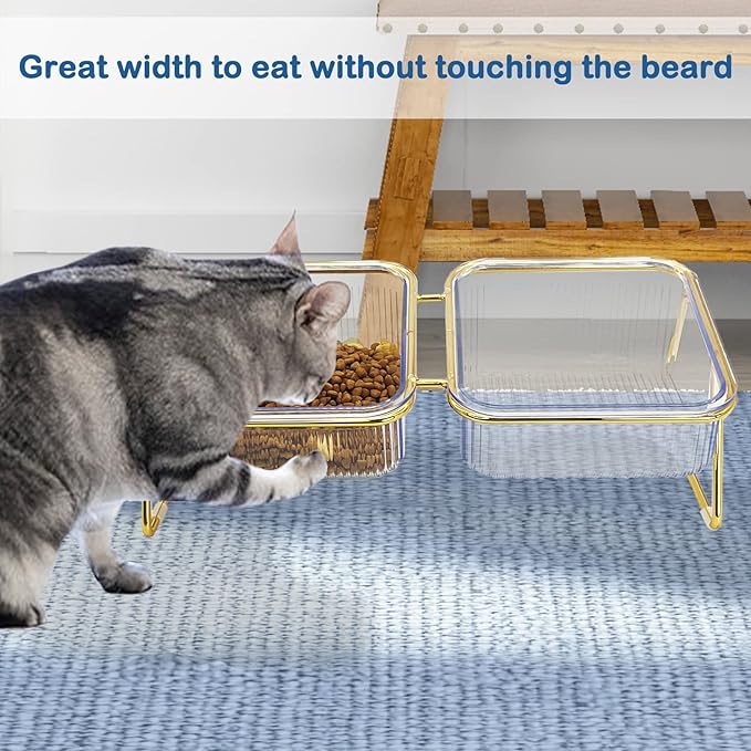 Elevated Double Cat Bowls,5.7" Pets Water and Food Bowl 15°Tilted Transparent Raised Kitten Food Feeding Dishes with Iron Stand Anti Slip Kitty Dishs Rose Gold Bowl Set for Kittiens Small Dogs