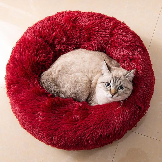 Cat Beds for Indoor Cats - Cat Bed Washable 24 inches, Dog Beds for Small Medium Dogs, Anti Anxiety Round Fluffy Plush Faux Fur Cat Bed, Thick Bottom (Red, Large 24" L x 24" W)