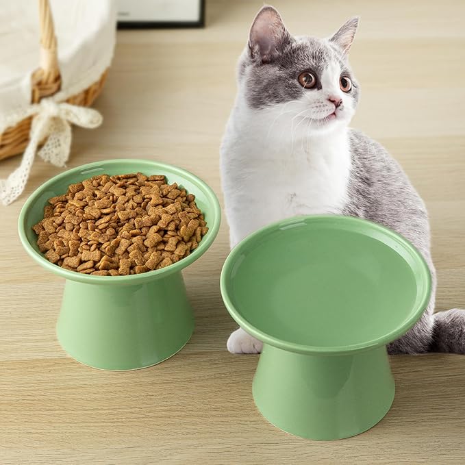 6.2 Inch Extra Wide Elevated Ceramic Cat Bowls, Food and Water Bowl Set for Elder Big Cats Small Dogs, Raised Design for Pet Easy Eating, Protect Cat's Spine Set of 1(Green)