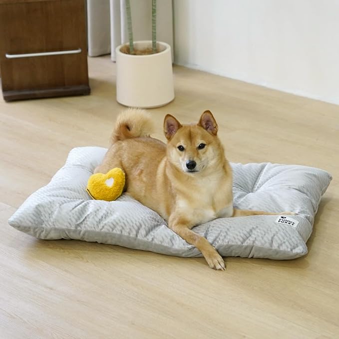 FUNNY FUZZY Dog Bed Crate Pad Mat, Washable Reversible Pet Floor Mats,Fluffy Kennel Pad for Large Sized Dog,Indoor Cats,Sleeping Mattress, 35.4" × 22.8", Light Grey