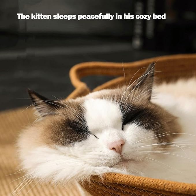 Cutypet Cat Basket, Cuty Pet Basket, Handwoven Cotton Rope Cat Bed, cat Scratch Bed with Built-in Teasing Ball, Breathable & Easy to Clean and Detachable Pad (Gray, Small)