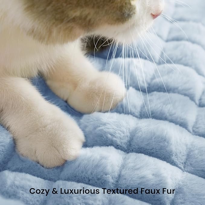 Cute Cat Couch Bed – Supportive & Fluffy Pet Sofa with Faux Rabbit Fur Washable Cover in 3D Diamond Pattern, 24" Light Blue