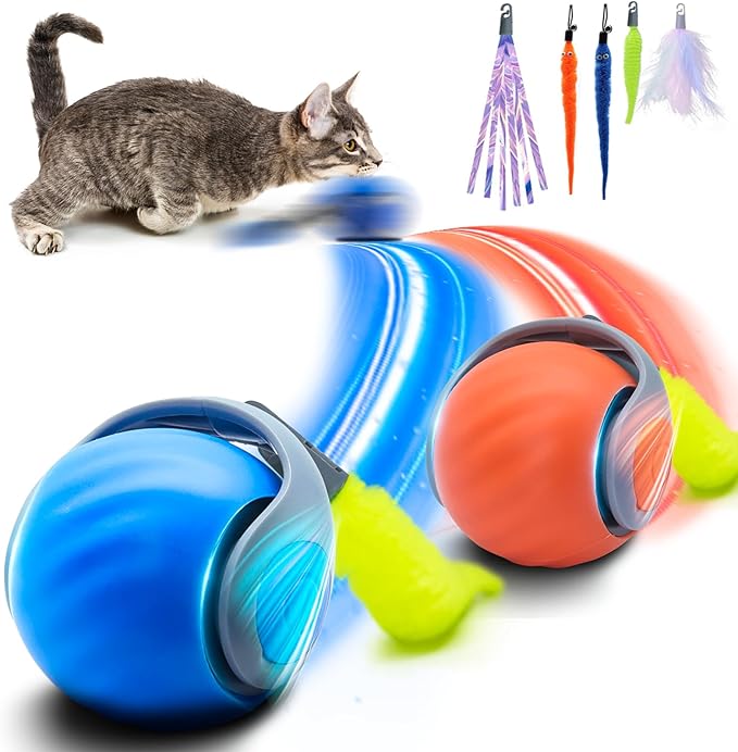 2Pcs Interactive Cat Toy for Indoor Cats, Speedy Ball with Tail, Automatic Moving Cat Balls for Bored Indoor Adult Cats, 360°Automatic Rolling Ball Toy, Two Speed Adjustment（Orange & Blue）