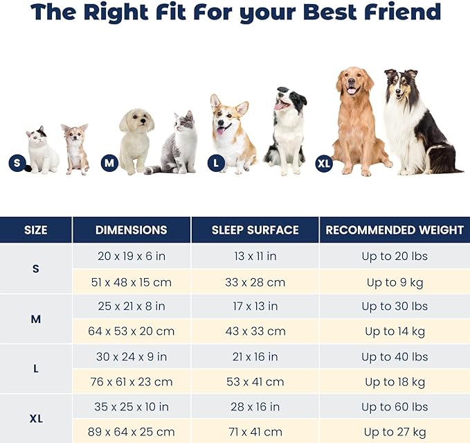 Miguel Small Dog & Cat Bed, Washable Removable Cover, Square, Cuddle Rectangle Pet Bed with Side Bolster, Blue, 20 Inch