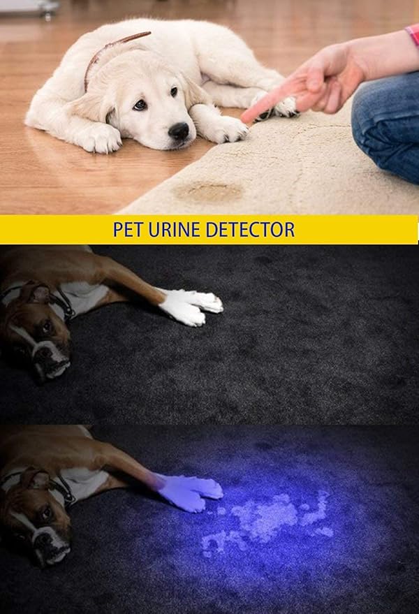 DARKBEAM UV 395nm Flashlight Ultraviolet led Light Blacklight Wood's lamp Portable 400nm Mini Detector for Dog/Cat Urine Pet Stains, Anti-counterfeiting Identification, Resin Curing，2 Pack