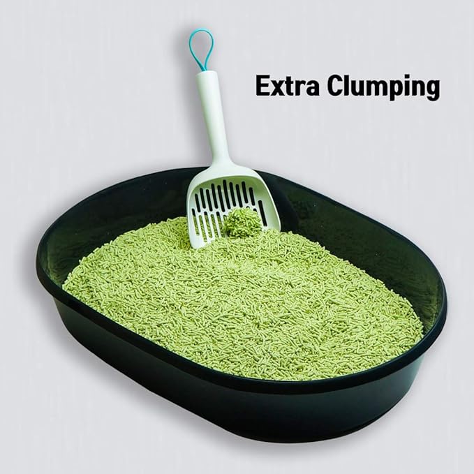 I AM TOFU - Tofu Cat Litter, Natural Flushable, Dust Free, Extra Clumping Pellet Litter (10 LBS, Green Tea)