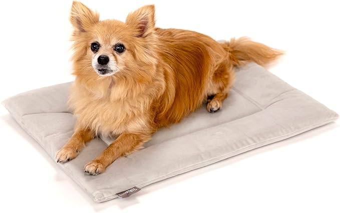 KindTail Dog Crate Pad - Soft Velvet, Reversible Bed - Machine Washable Kennel Mat for Pets up to 15 lbs, Mattress for Cozy Sleeping - 20” x 15” x 1” (Light Grey, Small)