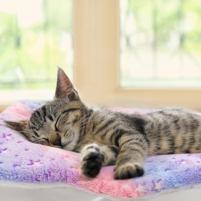 2 Pack Cat Blanket for Indoor Cat, Warm Calming Kitten & Puppy Beds for Anxiety and Stress, Washable Small Dog Mat for Crate, Fuzzy Pet Blankets