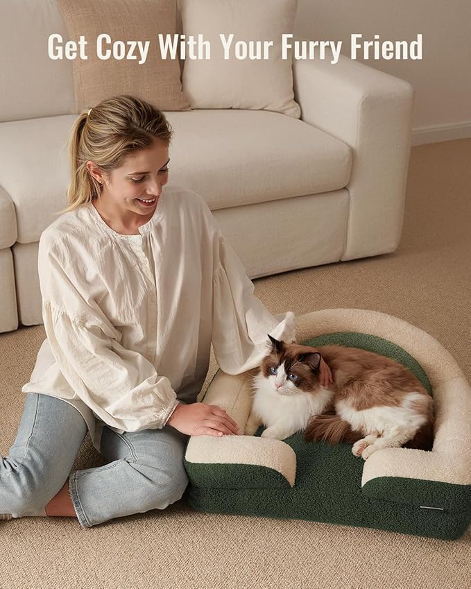 Blissful Diary Foam Cat Bed Small Size, Washable Pet Bed for Cats and Dogs, Soft Teddy Plush with Rainbow Design (Green)