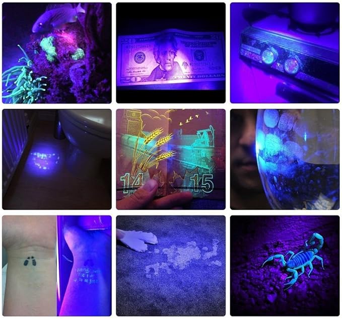 ALONEFIRE SV71 365nm UV Flashlight Strong 15W USB C Rechargeable Black Light Money Detector for Resin Curing, Pet Urine, Scorpion, Fishing, Mineral, Rocks, Glue with UV Protective Glasses, Battery
