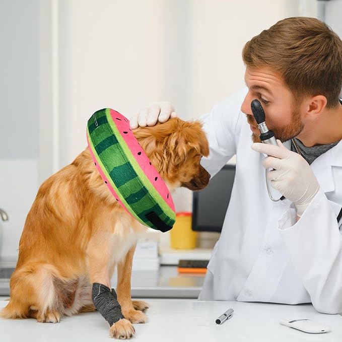 Katoggy Inflatable Dog Cone Collar for Small Medium Large Dogs and Cats - Soft Adjustable Blow up Donut E-Collar for Post-Surgery Recovery