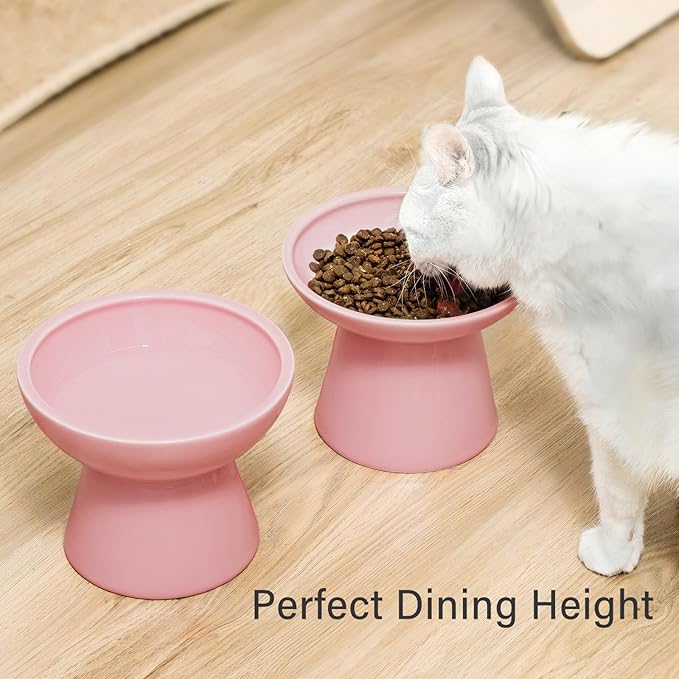 Extra Wide Elevated Ceramic Cat Water Bowl - 6.2" Deeper Dish for Whisker Fatigue Relief, 5" Height for Easy Feeding, Lead & Cadmium Free, Durable Raised Cat Bowls, Pink