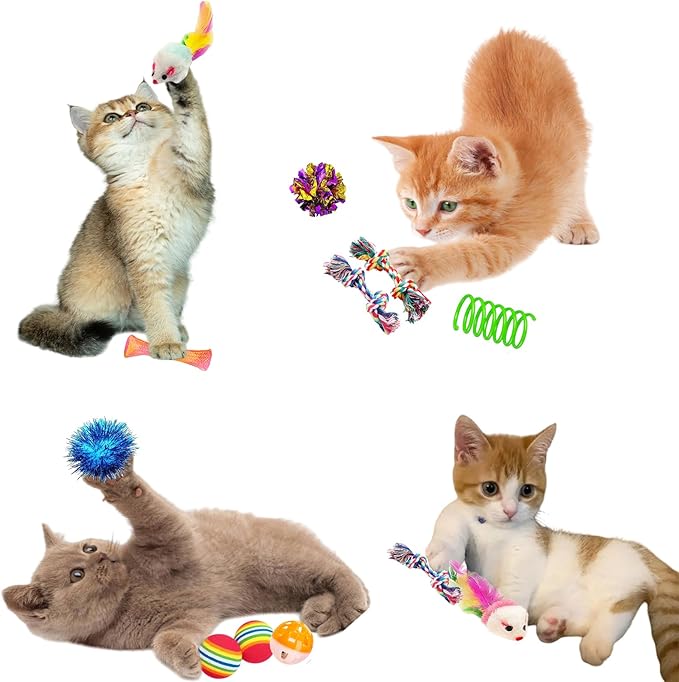 46 PCS Cat Toys for Indoor Cats, Kitten Toys with Cat Spring Toy, Mint Catnip with Crinkle Mouse Ball for Indoor Cats Kittens Exercise