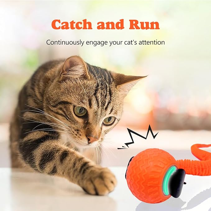 Interactive Cat Ball Toy, Upgraded Automatic Rolling Cat Ball with Tail 2.0 and Type C Cord, Touch Activated Moving Toy for Cats and Dogs (Orange)