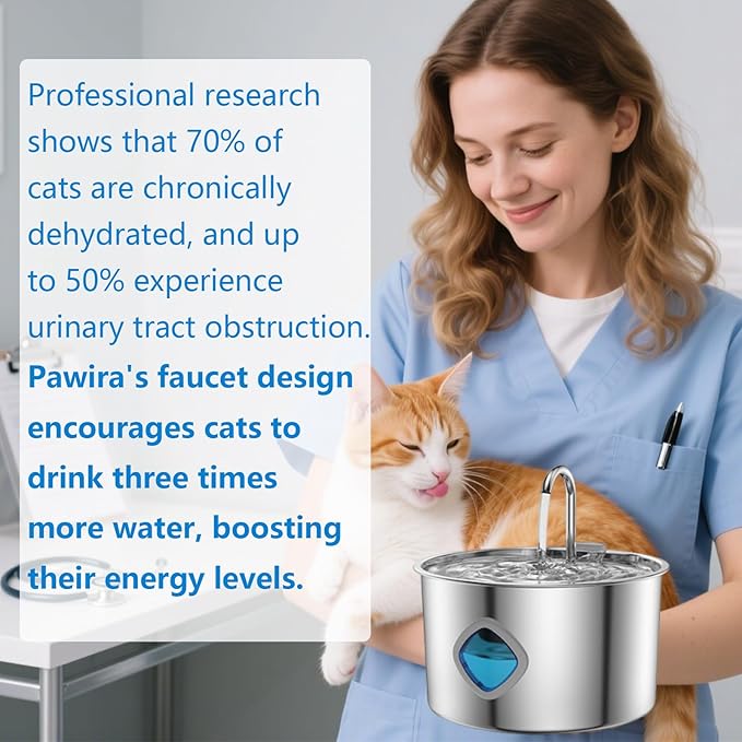 Pawira Water Fountain for Cats, with 10 Filters - Silent Pump, Dog & Cat Water Fountain, 3.2L / 108oz with Water Window, Super Quiet (A, Filter * 2, 3.2L)
