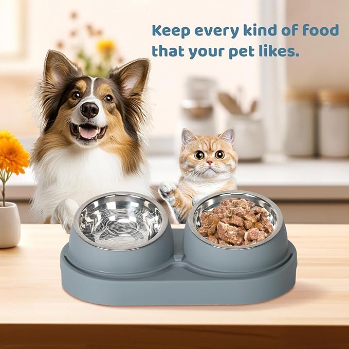 SAROSORA Cat Feeder Stainless Steel Bowl, Pet Food and Water Bowl Dishes, Easy to Clean