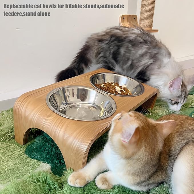 4 Pcs Stainless Steel Cat Bowls,5.5 Inches Metal Cat Bowl, Cat Food Bowls for Indoor Cats, Whisker Fatigue Cat Bowl, Shallow Cat Food Dish, Kitten Food Bowl, Elevated Food Bowls for Cats (5.5 inches)