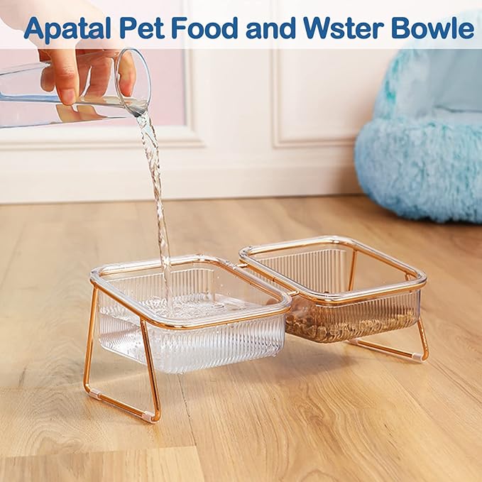 Elevated Double Cat Bowls,5.7" Pets Water and Food Bowl 15°Tilted Transparent Raised Kitten Food Feeding Dishes with Iron Stand Anti Slip Kitty Dishs Rose Gold Bowl Set for Kittiens Small Dogs