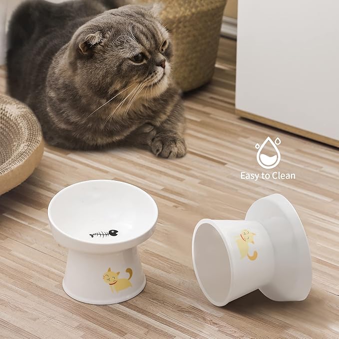 AOMRYOM Elevated Tilted Cat Bowl Set, Ceramic Feeder Bowls for Cats and Small Dog, Porcelain Raised Pet Dish, Stress Free, White, Set of 2