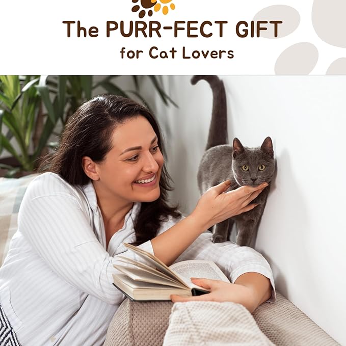 Ping Pong Balls for Cats, 6 Pack, Enrichment Toys, Cat Lovers Gift Ideas, Ball Pits, Bouncy