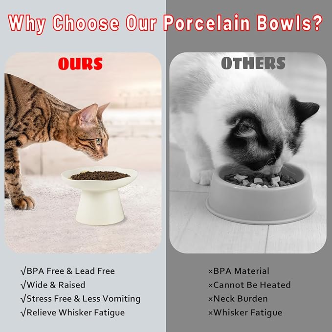 Extra Wide 6.1" Raised Cat Food Bowl, Shallow Ceramic Elevated Cat Feeder, Anti Vomiting, Stress Free, Whisker Fatigue, Pet Food or Water Bowl, White
