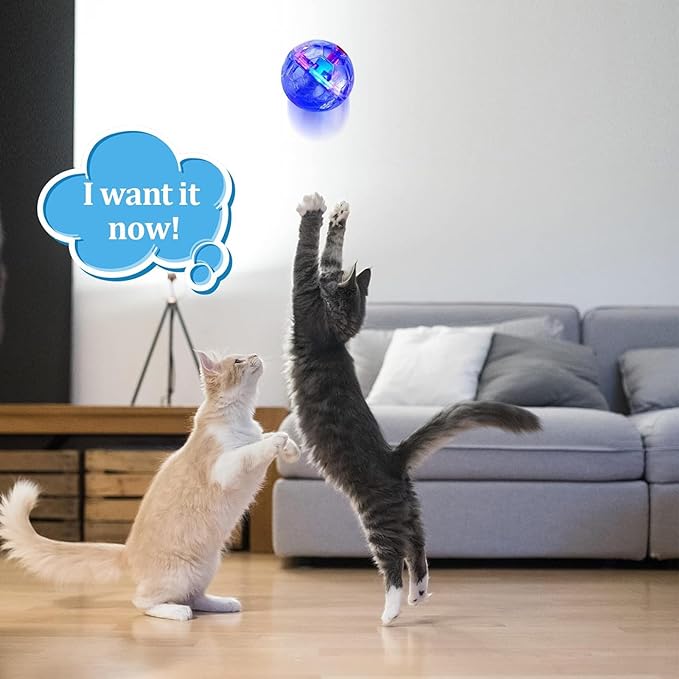 Sratte 6 Pieces Ghost Hunting Cat Ball Activated Cat Toy Motion LED Light Pet Balls Motion Dog Interactive Toys Pet Glowing Mini Running Exercise Supplies for Animals Activity(Clear)