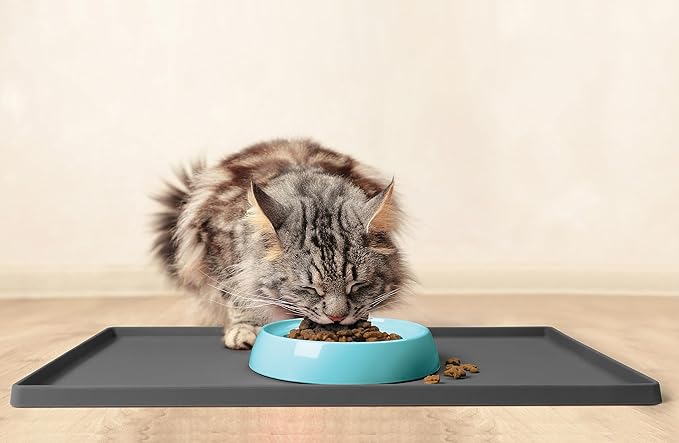 CatGuru Cat Bowls, Whisker Friendly Cat Food Bowl for Indoor Cats, Reliefs Whisker Fatigue, Wide Pet Bowl, Non Slip Pet Feeding Plate, Shallow Kitten Dish (Set of 2 Bowls, Aruba)