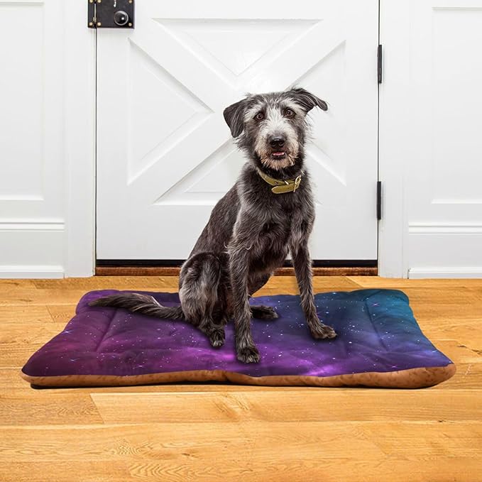 Nebula Galaxy Universe Pet Bed Cute Dog Bed Mat Absorbing Non Slip Pad Pet Sleeping Mat for Small, Medium, and Large Dogs Puppy Cat 24 in x 18 in