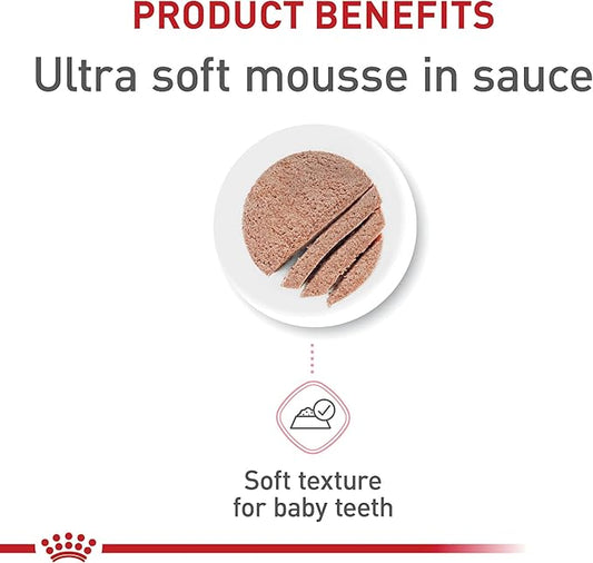 Royal Canin Feline Health Nutrition Mother & Babycat Ultra Soft Mousse in Sauce Canned Cat Food, 5.1 oz., Case of 24, 24 X 5.1 OZ