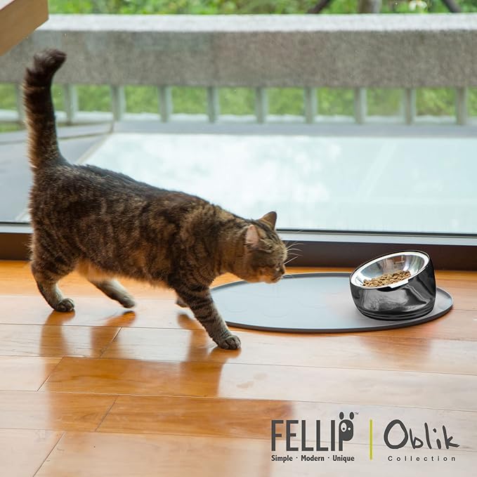 Felli Pet Oblik Whisker Fatigue Cat Food Bowl Raised Stainless Steel Shallow Dish, Pet Friendly Design Anti Vomit Tilted Metal Plate Feeder Elevated Acrylic Base for Treats Storage (0.5 Cups, Smoky)
