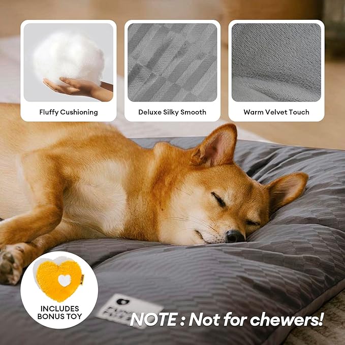 FUNNY FUZZY Washable Dog Bed,Reversible Plush Dog Crate Mat, Soft Fluffy Kennel Pad,Pet Sleeping Mattress for Large,Medium Sized Dogs Breeds,Indoor Cats,35.4" × 22.8", L,Charcoal Grey