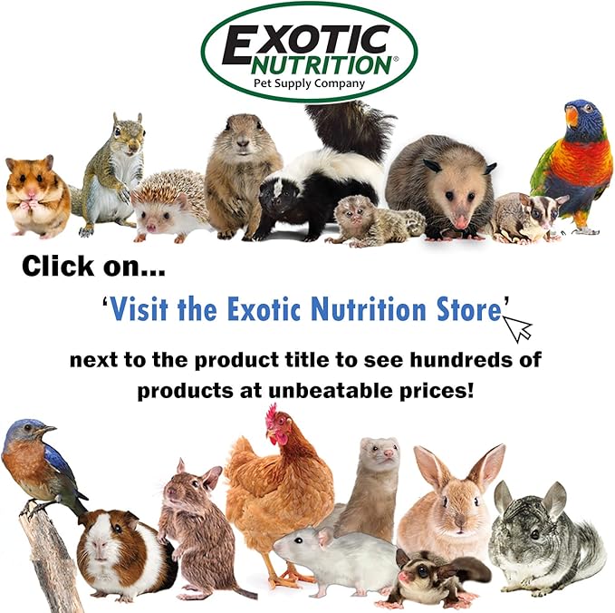 Exotic Nutrition Elimina 8 oz. Bottle - Eliminates Pet Odor Internally - for Ferrets, Cats, Dogs, Hedgehogs, Sugar Gliders, Skunks, Chinchillas